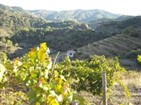 paisatge del Priorat